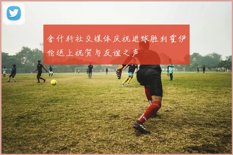 舍什科社交媒体庆祝进球胜利霍伊伦送上祝贺与友谊之声
