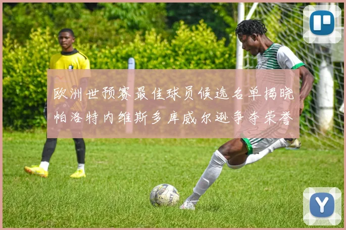 欧洲世预赛最佳球员候选名单揭晓帕洛特内维斯多库威尔逊争夺荣誉
