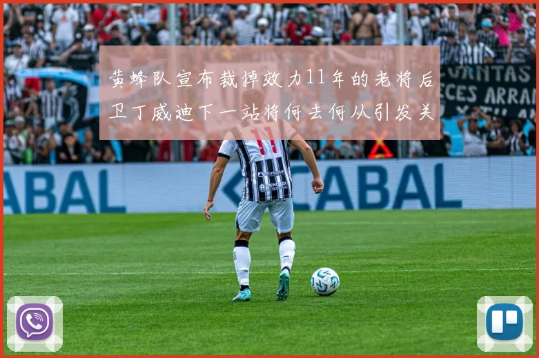 黄蜂队宣布裁掉效力11年的老将后卫丁威迪下一站将何去何从引发关注
