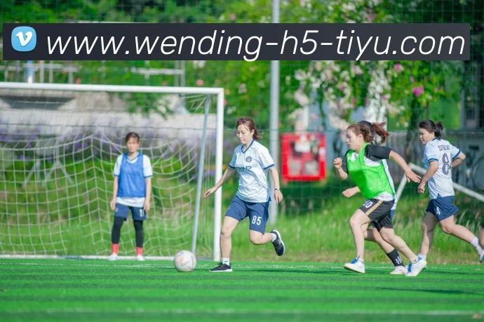 多媒体互动体验